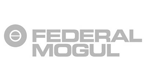 Federal Mogul